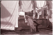 france-anglade-b44