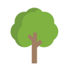 Trees