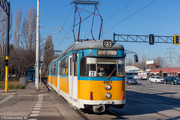 IMG-5232