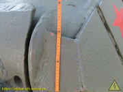 IMG-3520
