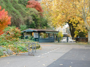 DSCN6481.jpg