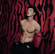 Shawn-Mendes-superficial-guys-53