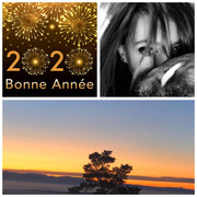 Bonne-ANNEE-YO.jpg