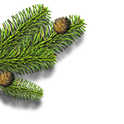 GJ-PUCluster-Joyful-Snowman-16