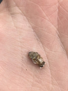 8696573D-5A6A-4AF0-BB72-AE924A5A700B