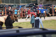 IMG-0029