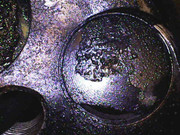 Photo_2025-02-2609_13_26_512