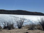 [Image: IMG-4575.jpg]