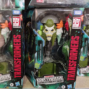 120200128-3322788641102219-1607634828505121534-o