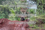 IMG-6321