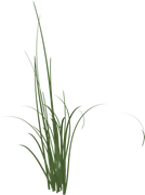 0_17d837_a4a9df65_orig