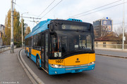 IMG-0784