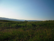 pb__field_stock_4_by_simplybackgrounds