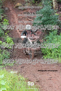 IMG-0468