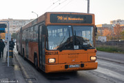 IMG-1031