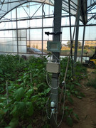 [Immagine: plant-out-Rimontato29-7-2023.jpg]