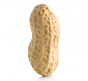 ingenious-peanut-butter-crop-300x275.jpg