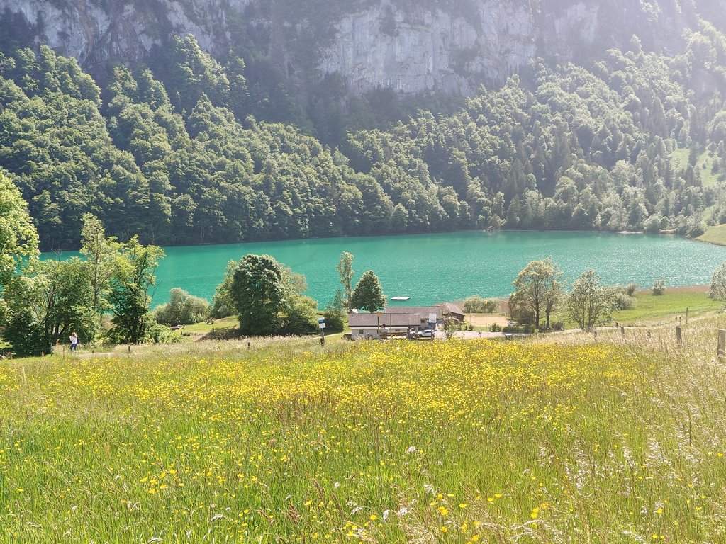 https://i.postimg.cc/RZ0RqpXh/IMG20250519154007.jpg