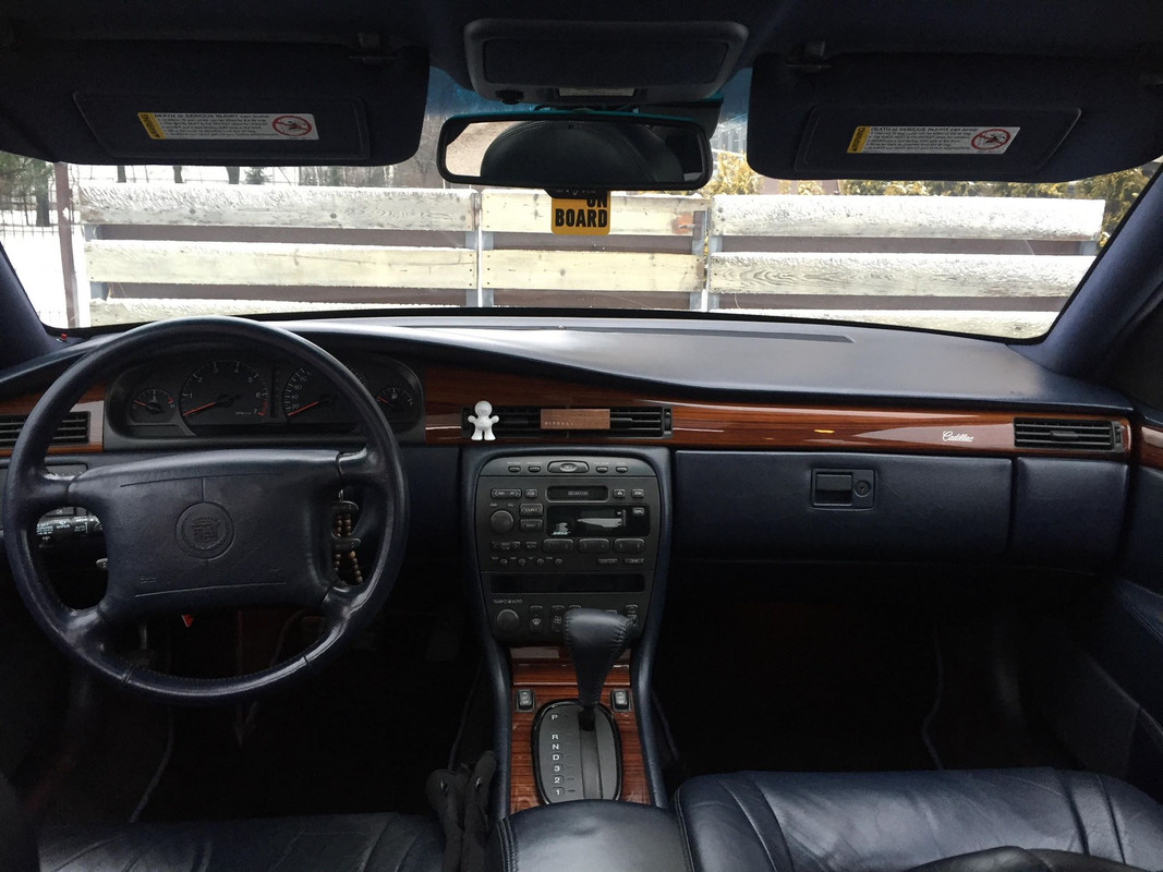 49196467_1577231112420392_680162862219395072_n