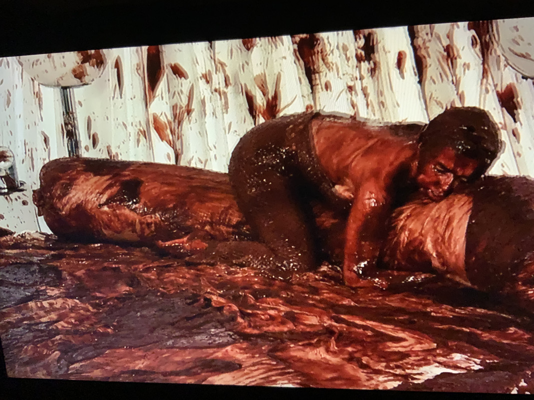 BAD87022-DD1E-438A-9E35-794CCD0A40C2