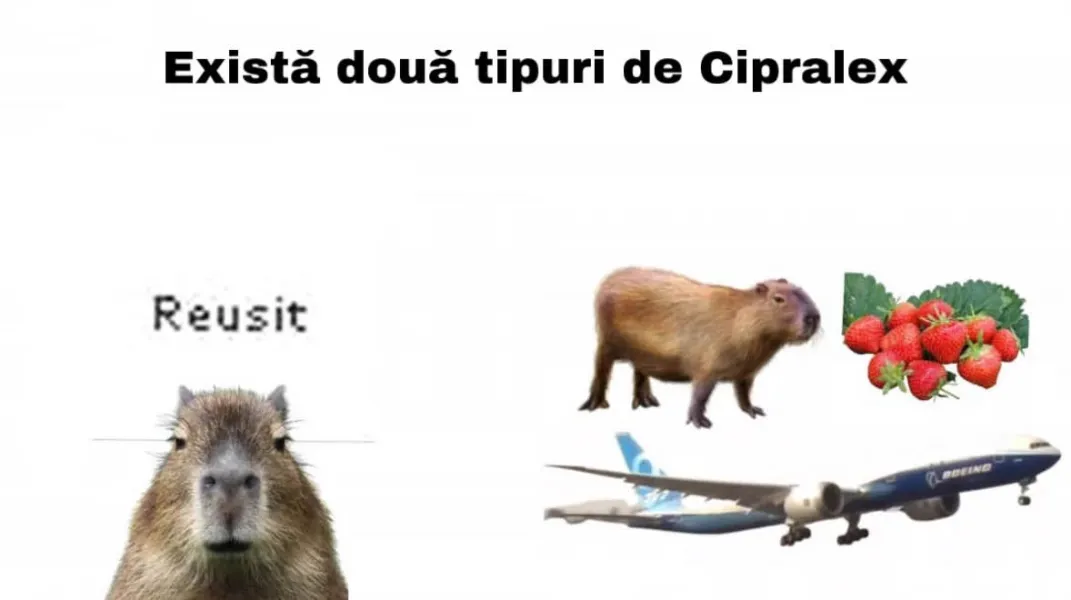 [Image: image.png]