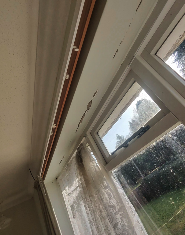 Screenshot 2026 03 11 at 13 48 45