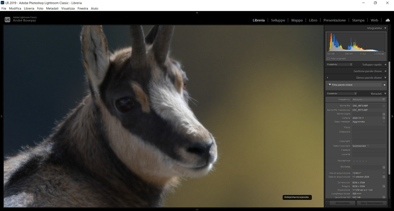 0F7CD2C6-822E-41E7-9C27-520C2871C0CA