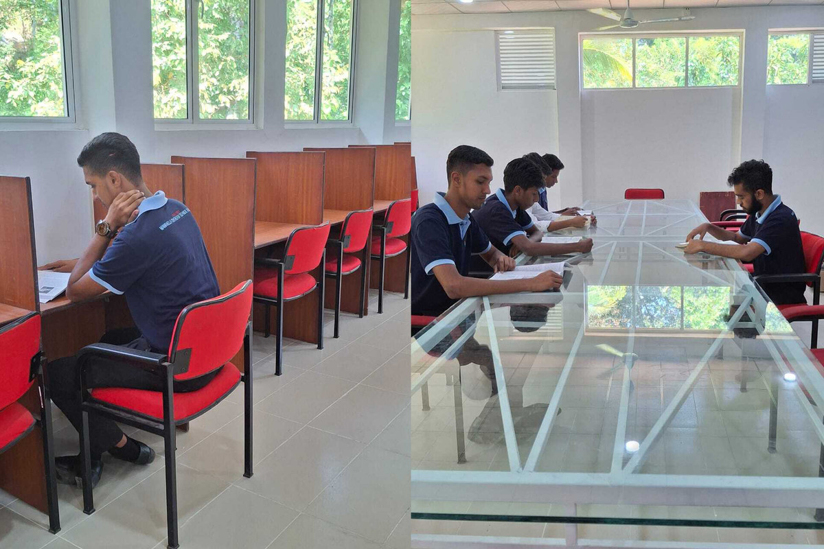 Study Area