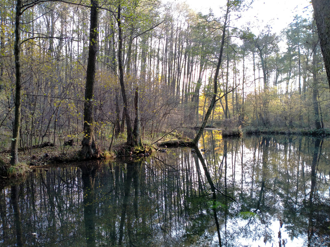 004 - IMG20201028141559