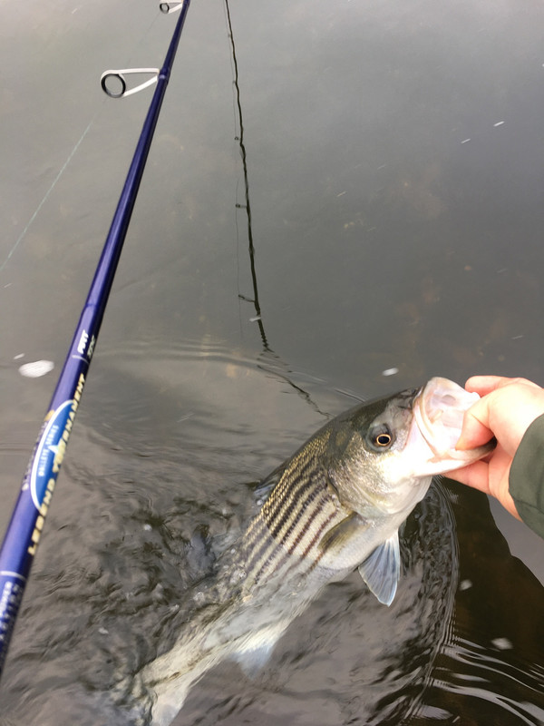 9FFDFB50-3A68-4F01-A76E-7CA33AD6410E