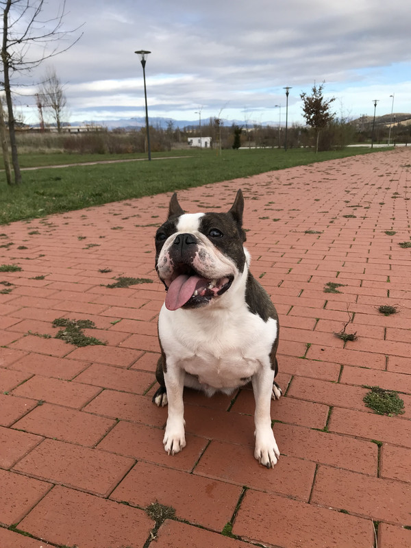 7A86ADD3-01CA-4C18-9D32-2E06115823C2