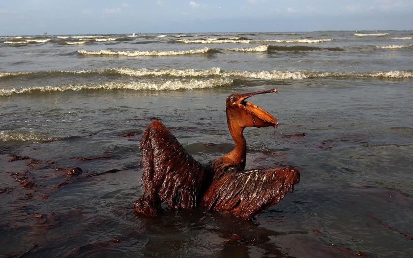 Разливы нефти - чёрные пятна, убивающие океаны на десятилетия Разливы нефти - чёрные пятна, убивающие океаны на десятилетия