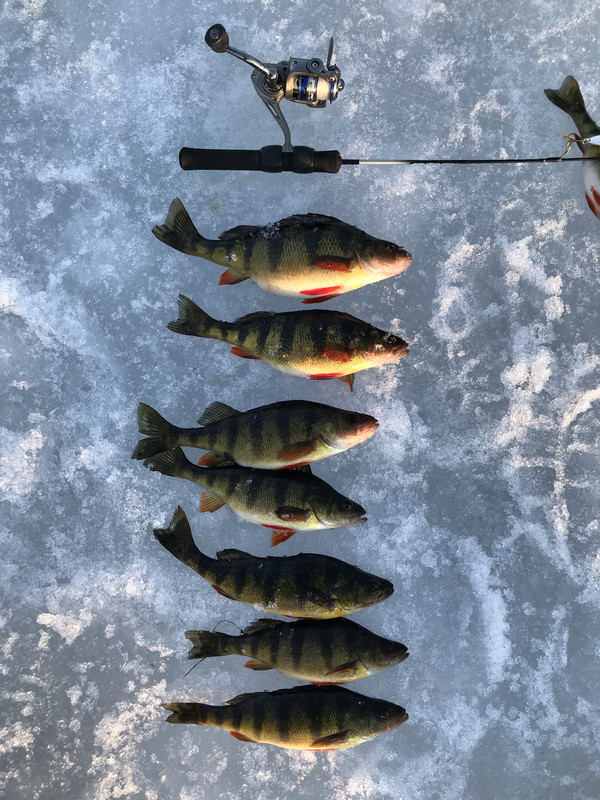 9909E130-ACAE-45FB-9E3F-191FC27D4E8A