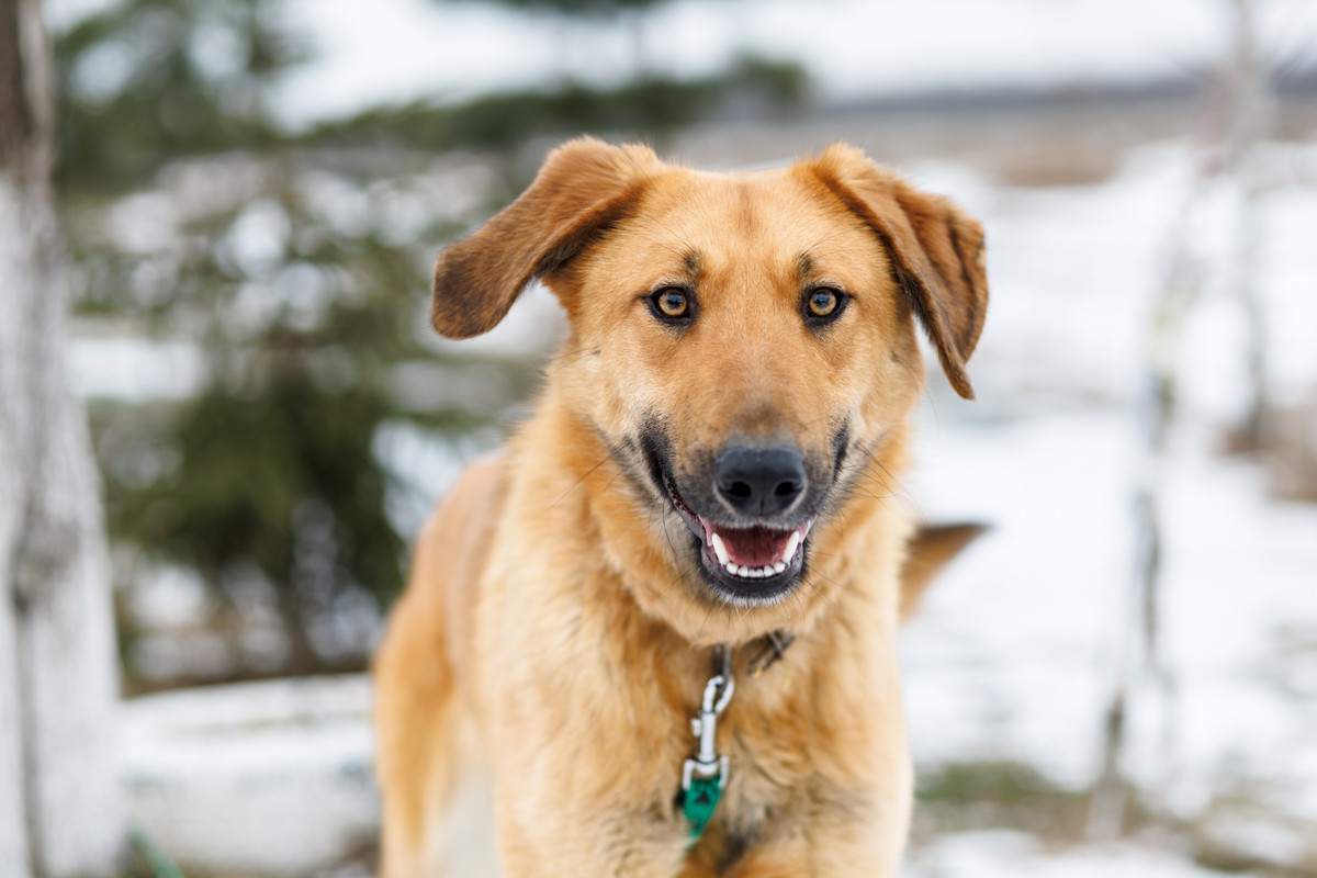 RRDaPGIDaq6DTzmuK1VD5GPRMqzxMjdeAXzEdTSfqq6rsEQVS5o0y81MY02MriQBTQQbZpt65hB0bQmWfYCk4A==?uid=0&filen