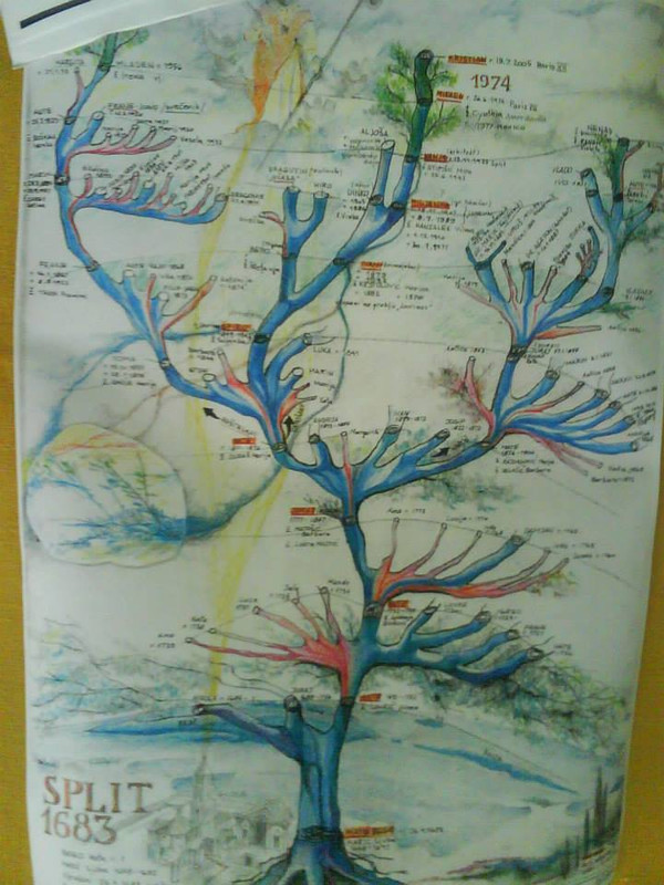 11201182_10205244261079111_7602350705460671307_n