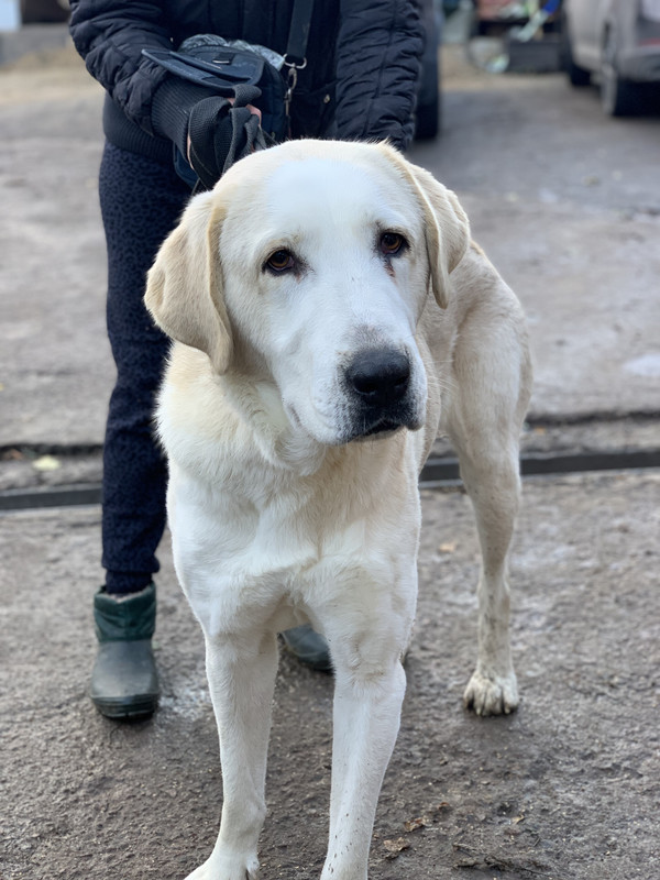 298427B2-2C3B-4A2A-B8BE-17D6020AE34A