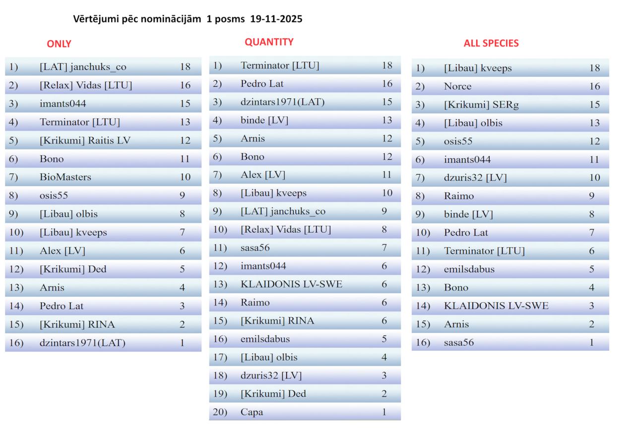Скриншот 19 11 2025 232601