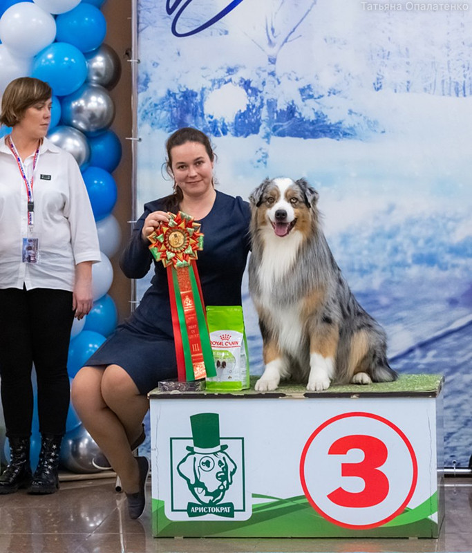 DSC 8322 — Postimages