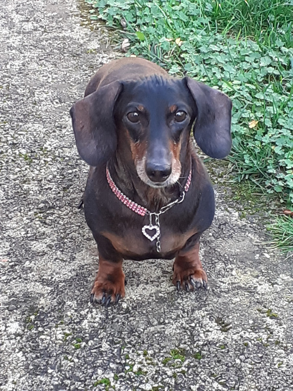 [Image: 20201108-150825.jpg]