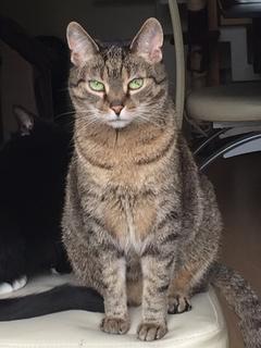 47B70429-61D0-493D-AB33-3355C813E146