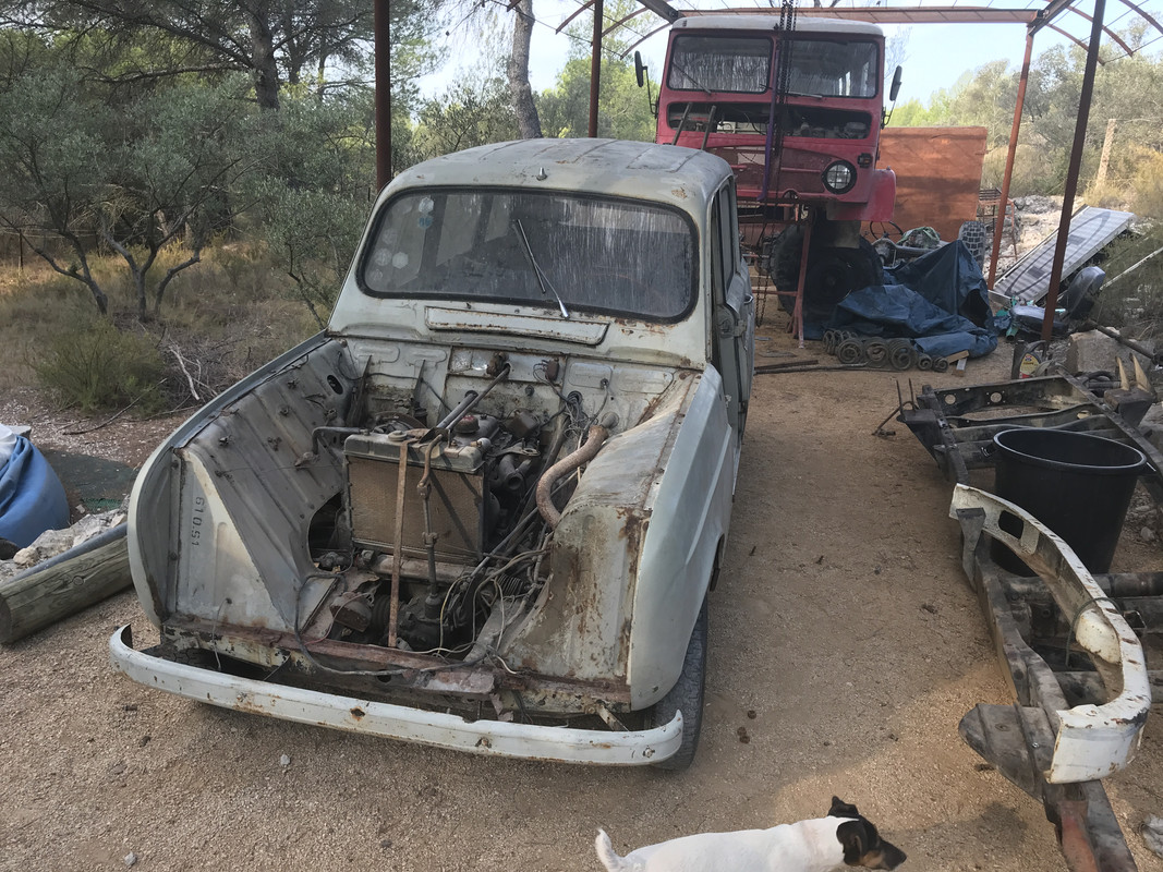 2956A1EE-947B-4501-A129-5626B286F4F8