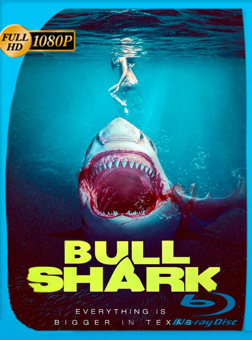 Bull Shark (2022) WEB-DL 1080p Latino [GoogleDrive]