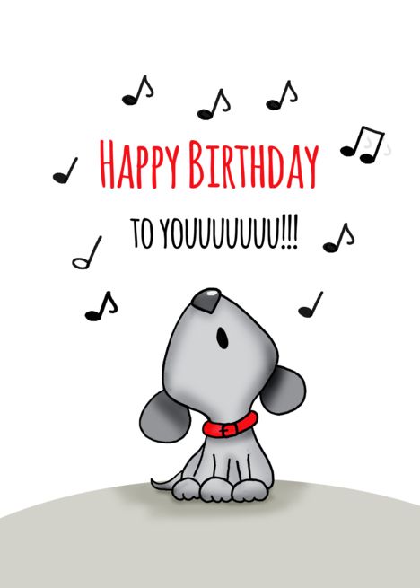Happy-Birthday-funny.jpg