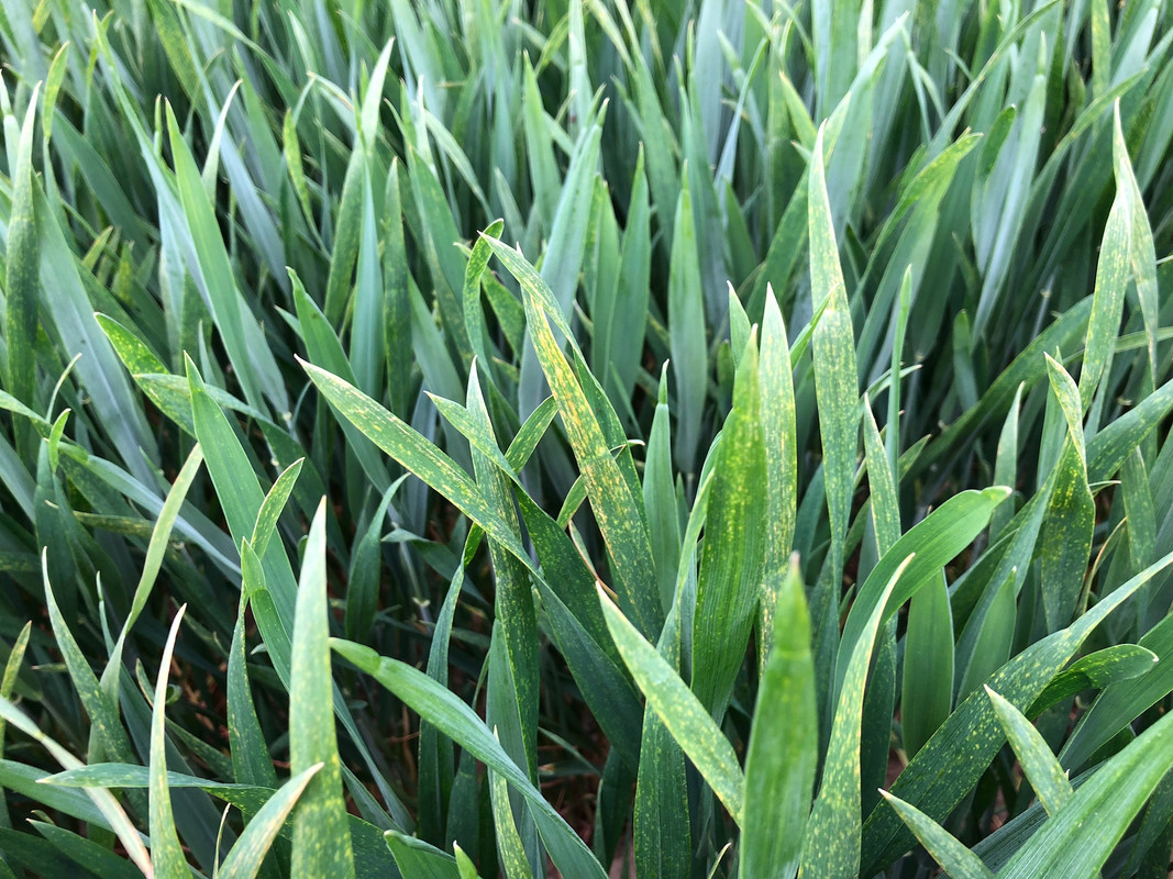 702D0346-CEDD-404A-AA94-C1CE3646BFC0