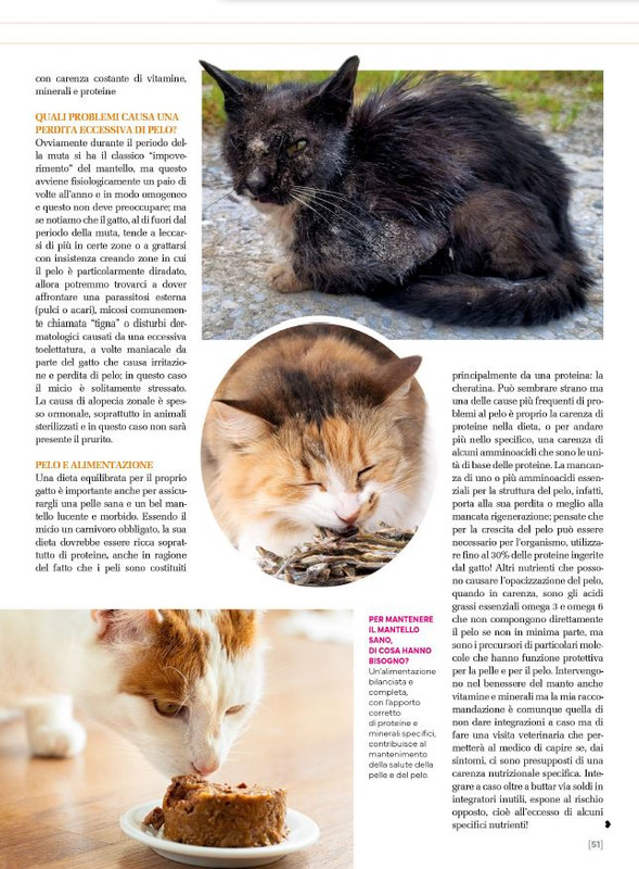 Ga Ma Feb-Mar 2024 (10)