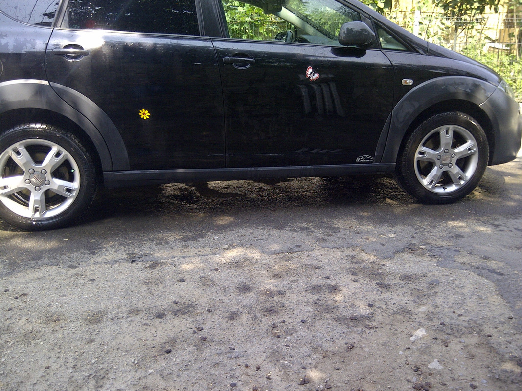 IMG-20130629-00739