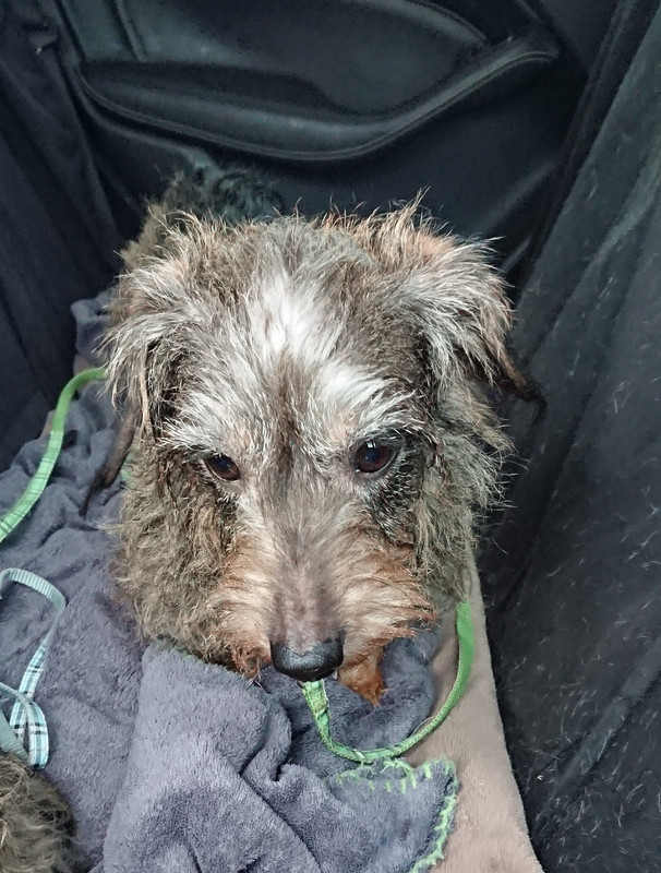 [Image: 20241124-161639.jpg]