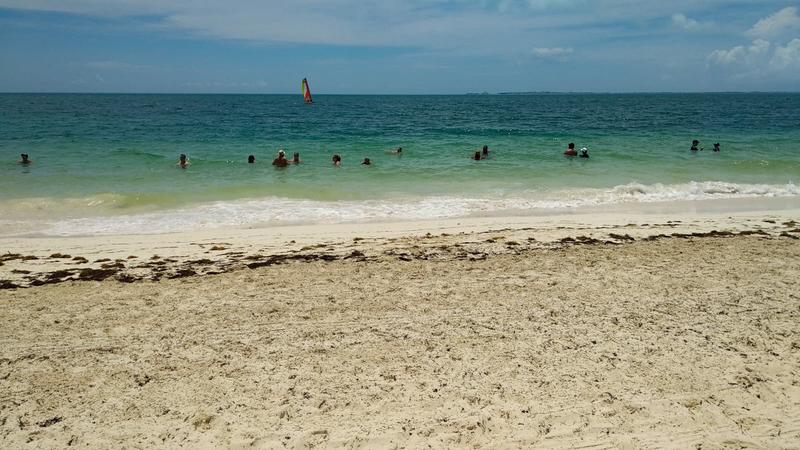 Playas sin Algas en Riviera Maya (Sargazo) - Foro Riviera Maya y Caribe Mexicano