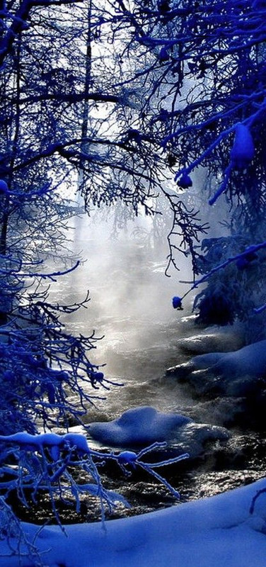 bluewinterscene.jpg
