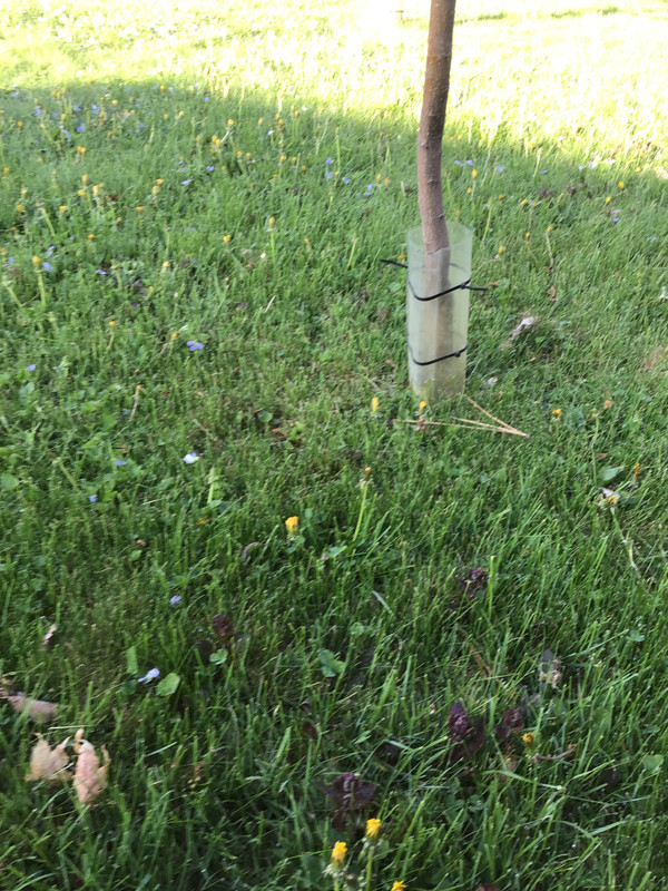 C05EEFAA-A8A4-4461-9D31-92544EBCB48B